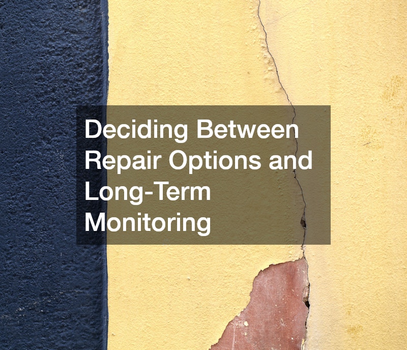 Deciding Between Repair Options and Long-Term Monitoring