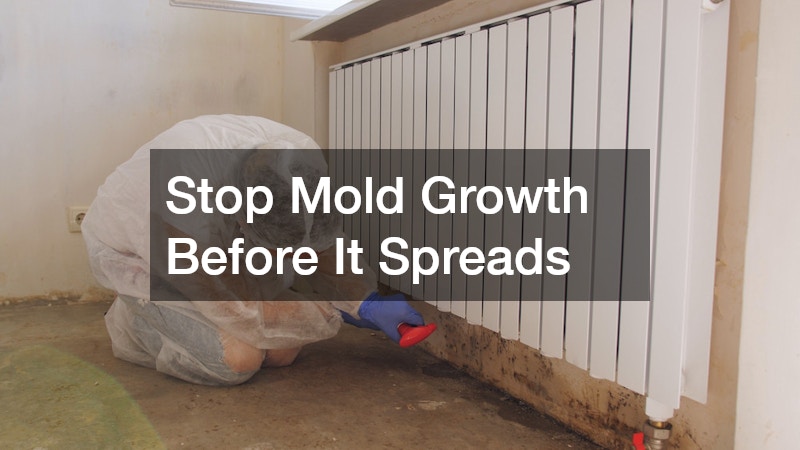Stop Mold Growth Before It Spreads
