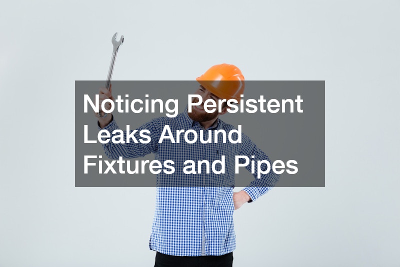 Noticing Persistent Leaks Around Fixtures and Pipes
