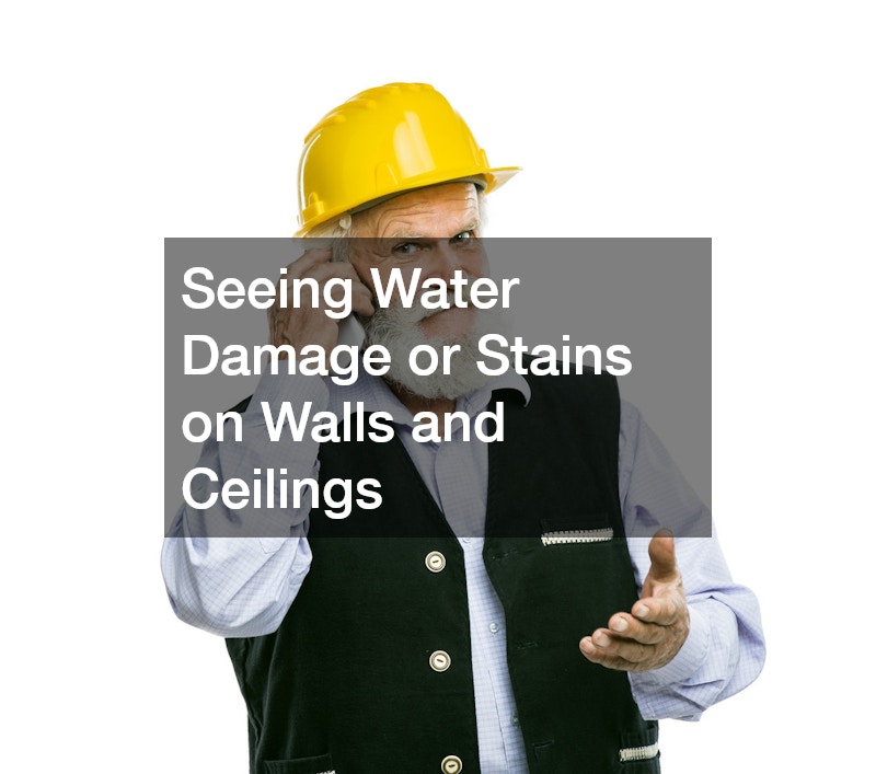 Seeing Water Damage or Stains on Walls and Ceilings