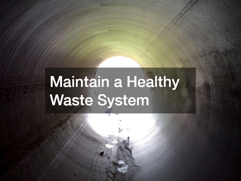 Maintain a Healthy Waste System