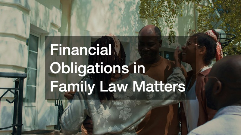 Financial Obligations in Family Law Matters