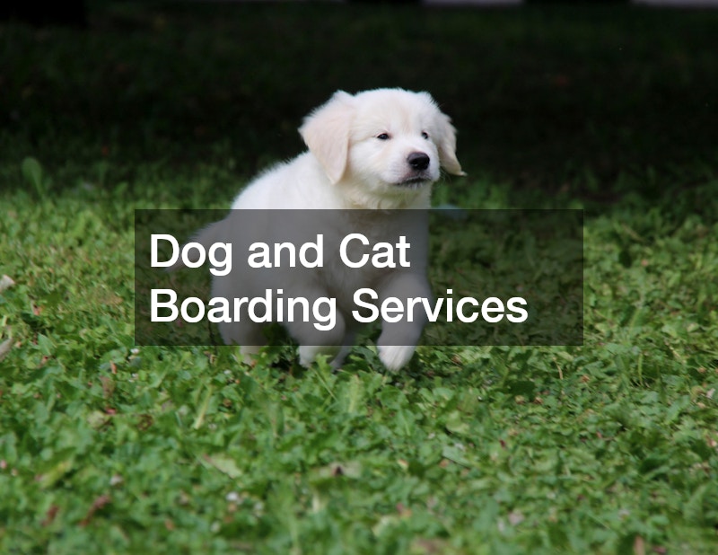 Dog and Cat Boarding Services