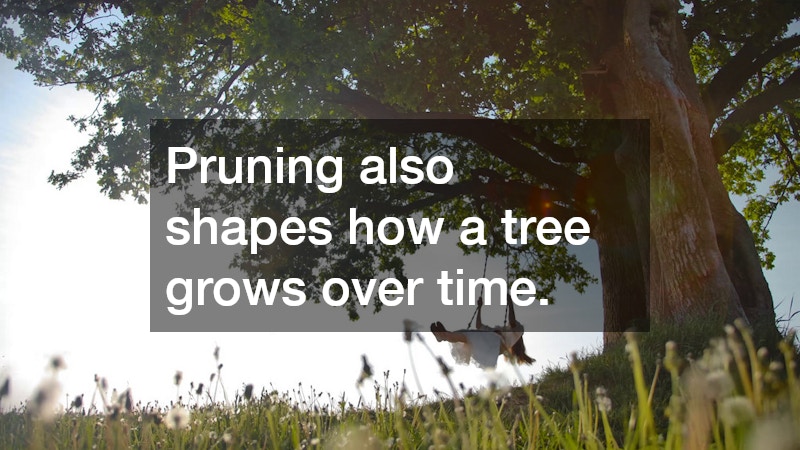 Pruning also shapes how a tree grows over time.
