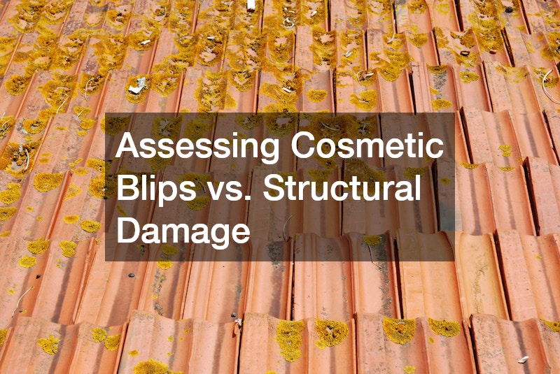 Assessing Cosmetic Blips vs. Structural Damage