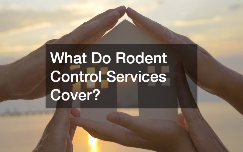What Do Rodent Control Services Cover?