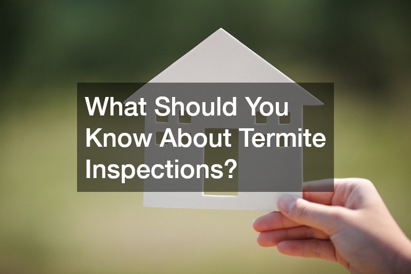 What Should You Know About Termite Inspections?