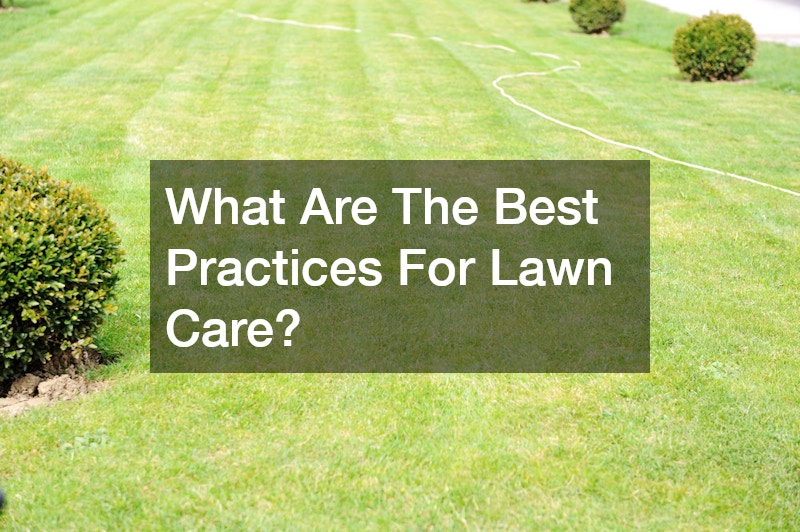 What Are The Best Practices For Lawn Care?