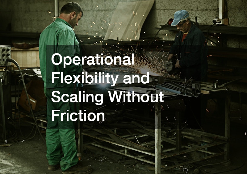 Operational Flexibility and Scaling Without Friction