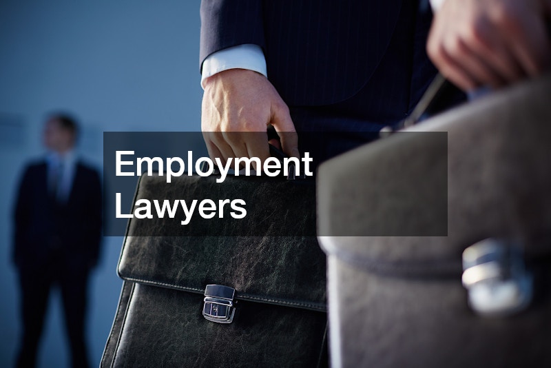 Employment Lawyers