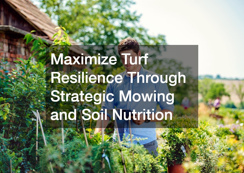 Maximize Turf Resilience Through Strategic Mowing and Soil Nutrition