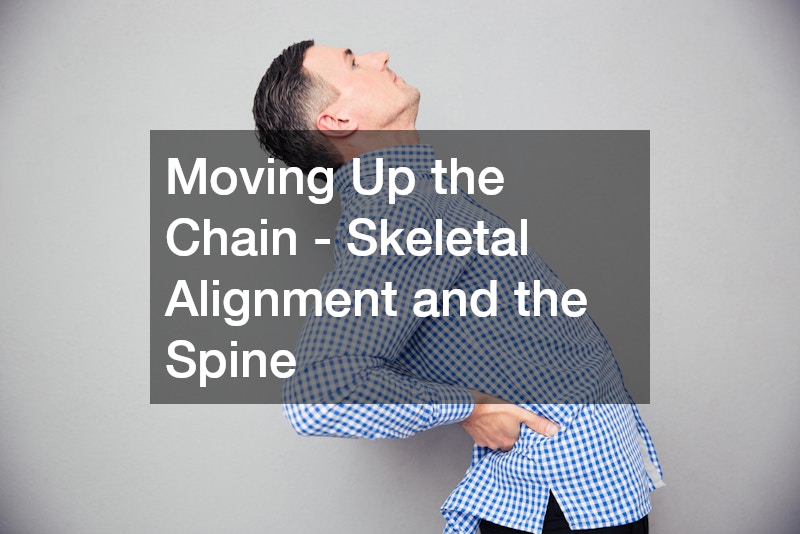 Moving Up the Chain - Skeletal Alignment and the Spine