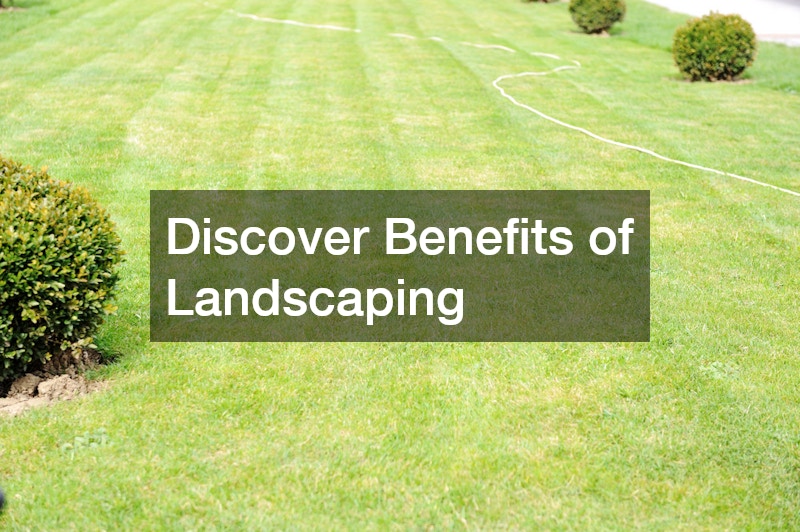 Discover Benefits of Landscaping