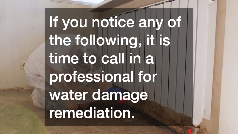 If you notice any of the following, it is time to call in a professional for water damage remediation.