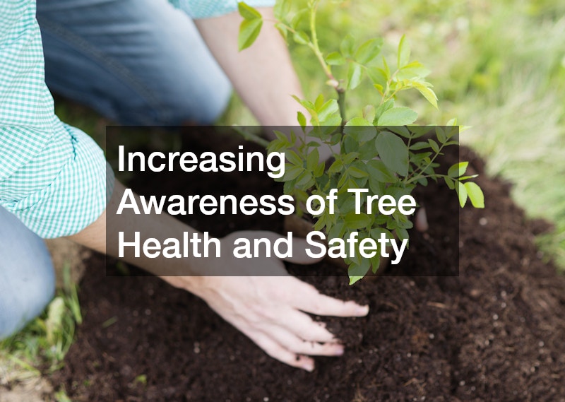 Increasing Awareness of Tree Health and Safety