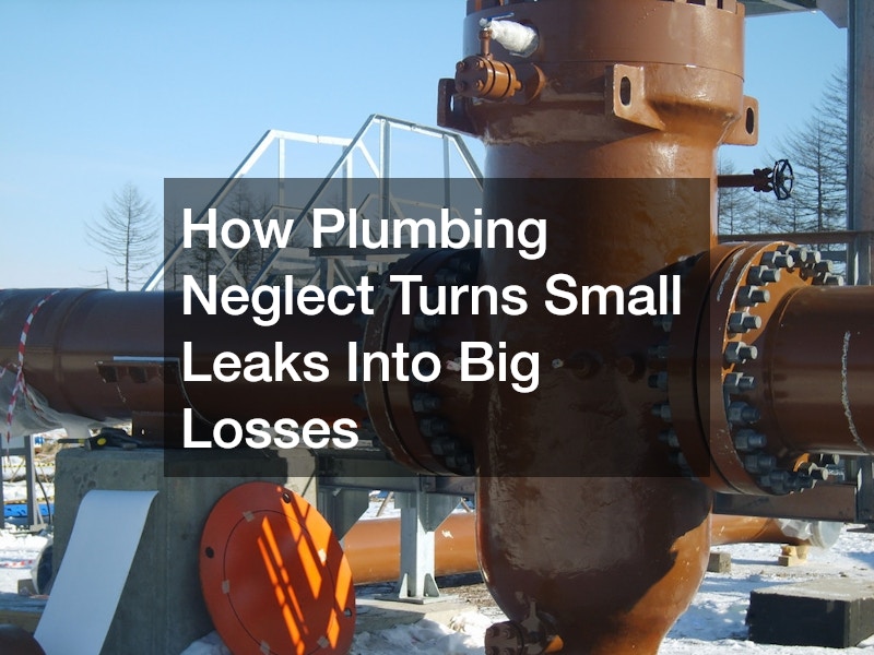 How Plumbing Neglect Turns Small Leaks Into Big Losses