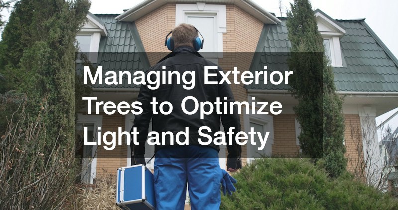 Managing Exterior Trees to Optimize Light and Safety