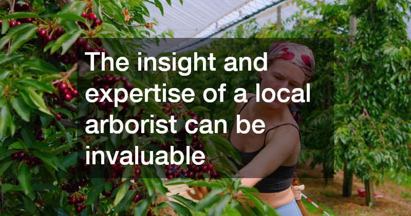 The insight and expertise of a local arborist can be invaluable