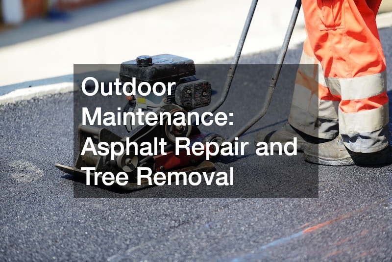 Outdoor Maintenance: Asphalt Repair and Tree Removal