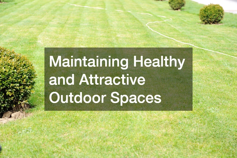 Maintaining Healthy and Attractive Outdoor Spaces