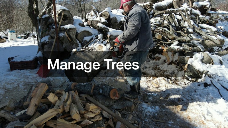 Manage Trees