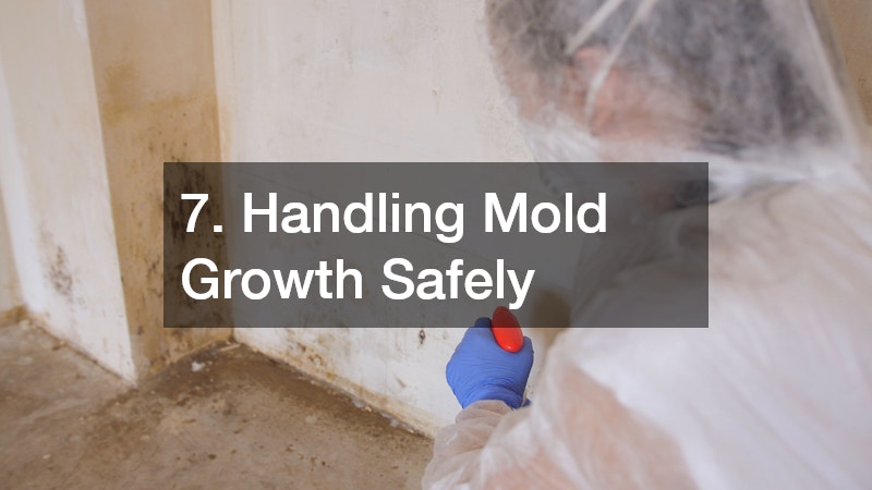 7. Handling Mold Growth Safely