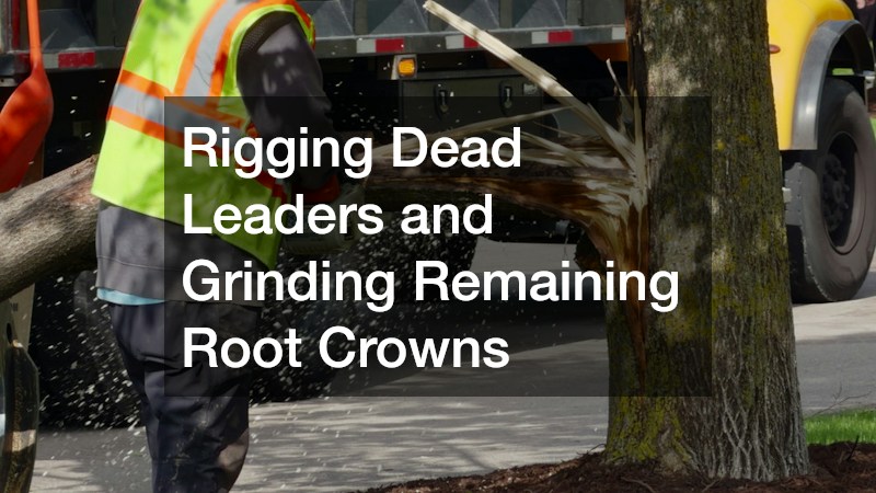Rigging Dead Leaders and Grinding Remaining Root Crowns