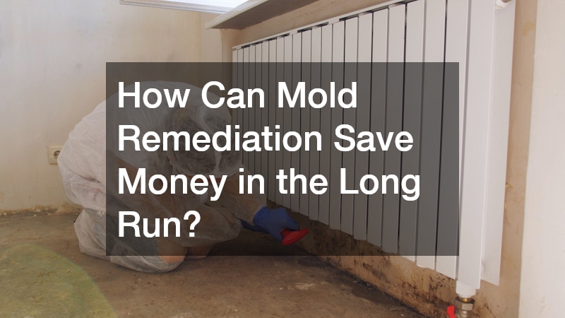 How Can Mold Remediation Save Money in the Long Run?