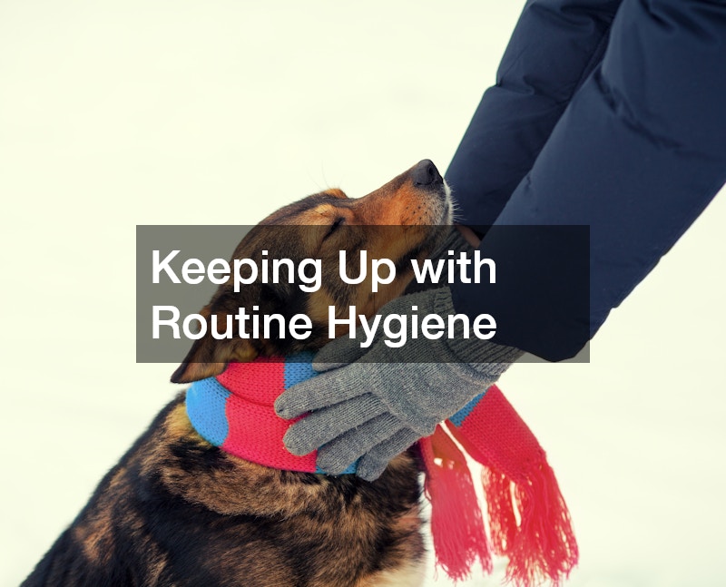 Keeping Up with Routine Hygiene