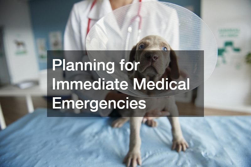 Planning for Immediate Medical Emergencies