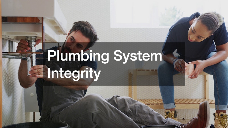 Plumbing System Integrity