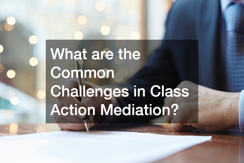 What are the Common Challenges in Class Action Mediation?