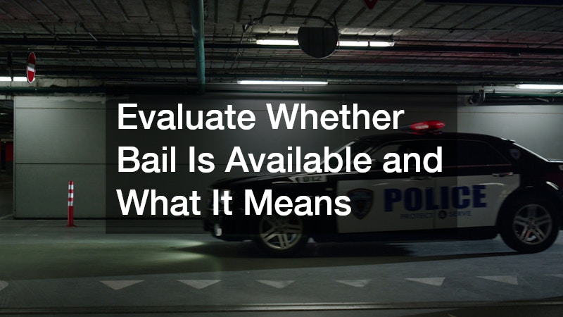 Evaluate Whether Bail Is Available and What It Means