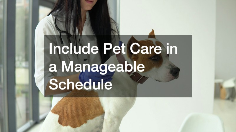 Include Pet Care in a Manageable Schedule