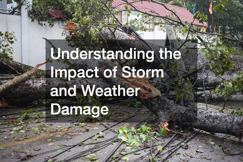 Understanding the Impact of Storm and Weather Damage