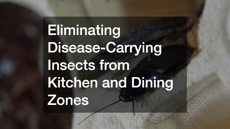 Eliminating Disease-Carrying Insects from Kitchen and Dining Zones