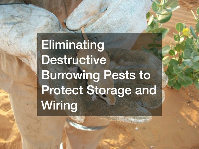 Eliminating Destructive Burrowing Pests to Protect Storage and Wiring