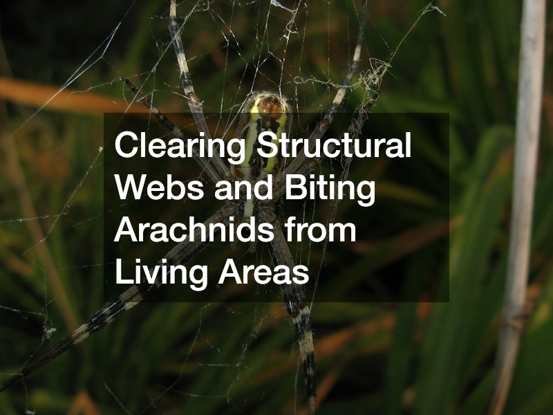 Clearing Structural Webs and Biting Arachnids from Living Areas