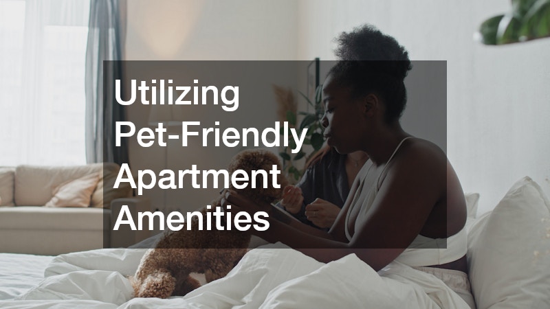 Utilizing Pet-Friendly Apartment Amenities