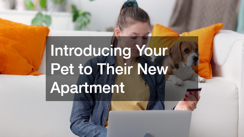 Introducing Your Pet to Their New Apartment