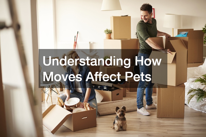 Understanding How Moves Affect Pets