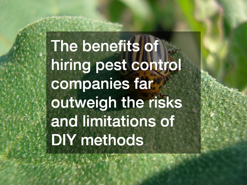 The benefits of hiring pest control companies far outweigh the risks and limitations of DIY methods
