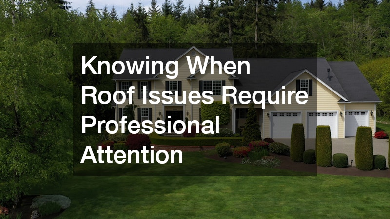 Knowing When Roof Issues Require Professional Attention