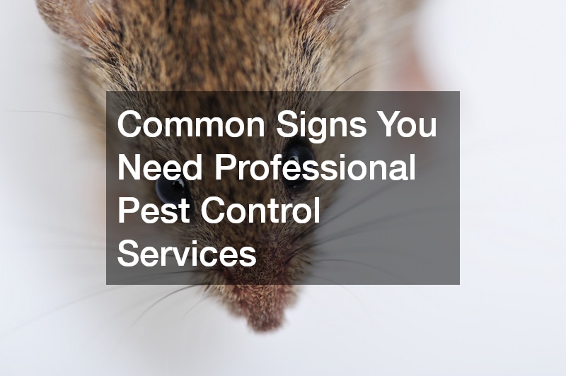 Common Signs You Need Professional Pest Control Services