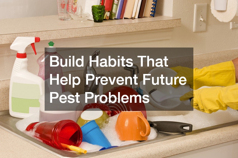 Build Habits That Help Prevent Future Pest Problems