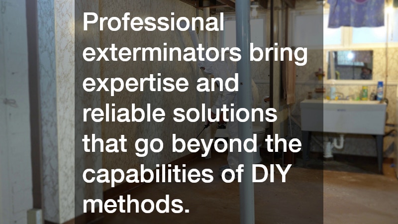 Professional exterminators bring expertise and reliable solutions that go beyond the capabilities of DIY methods. 