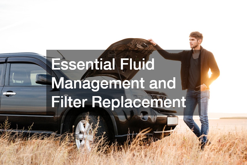 Essential Fluid Management and Filter Replacement