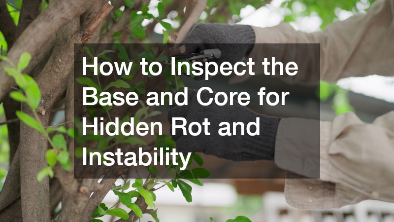 How to Inspect the Base and Core for Hidden Rot and Instability