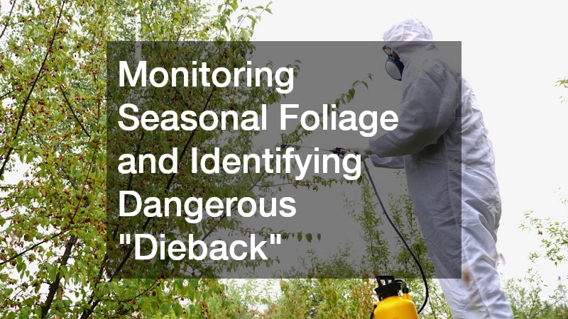 Monitoring Seasonal Foliage and Identifying Dangerous "Dieback"