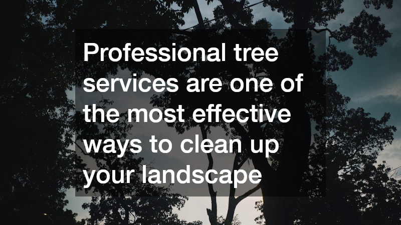 Professional tree services are one of the most effective ways to clean up your landscape